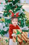 Merry Christmas 2024 - Ghi dấu mùa Giáng sinh an lành Hoa Trạng Nguyên